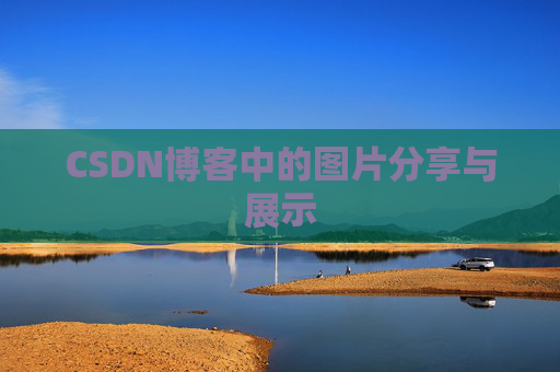 CSDN博客中的图片分享与展示